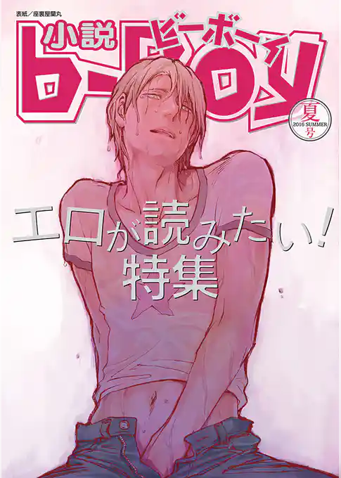 小説ビーボーイ　エロが読みたい！特集（2016年夏号）
