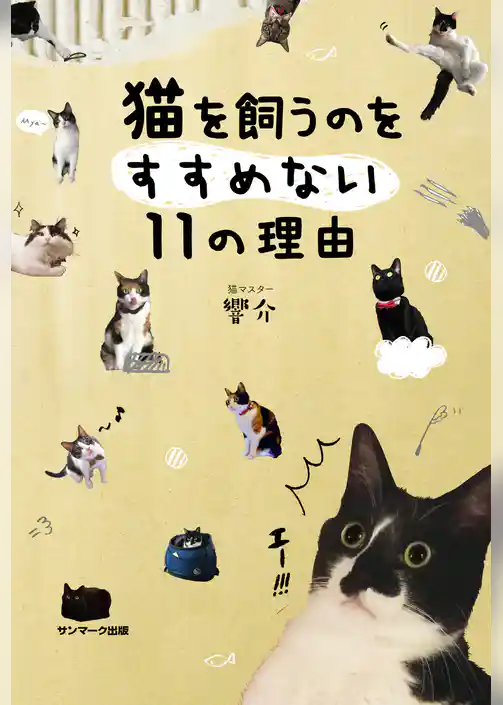 猫を飼うのをすすめない１１の理由