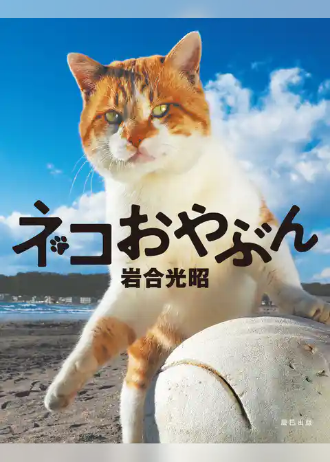 岩合光昭 写真集 「ネコおやぶん」
