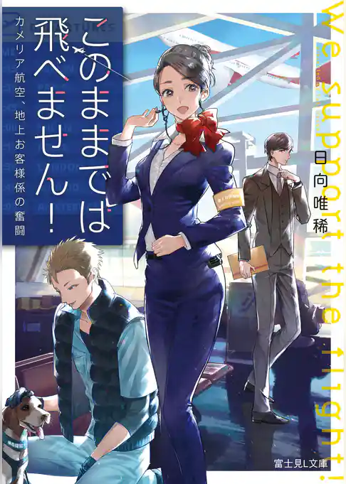 このままでは飛べません！