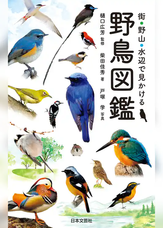 街・野山・水辺で見かける 野鳥図鑑