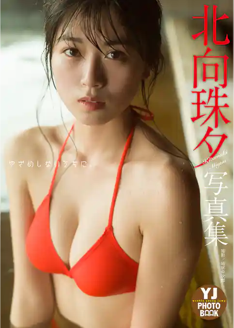 【デジタル限定 YJ PHOTO BOOK】北向珠夕写真集「ゆざめしないうちに。」