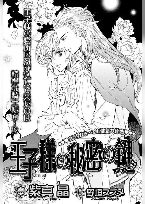 王子様の秘密の鍵