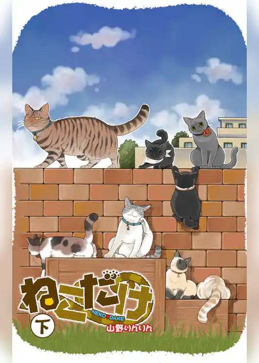 ねこだけ