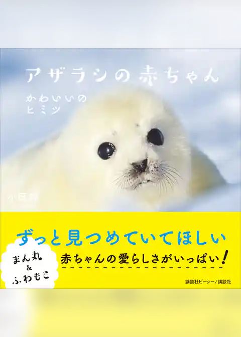 アザラシの赤ちゃん　かわいいのヒミツ