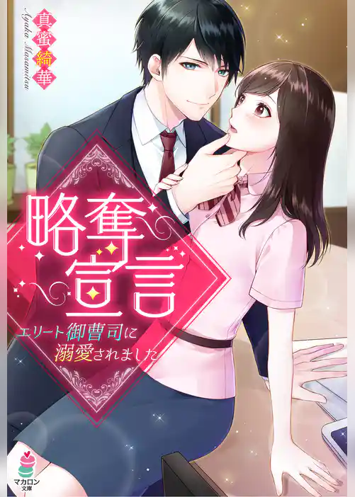 略奪宣言～エリート御曹司に溺愛されました～