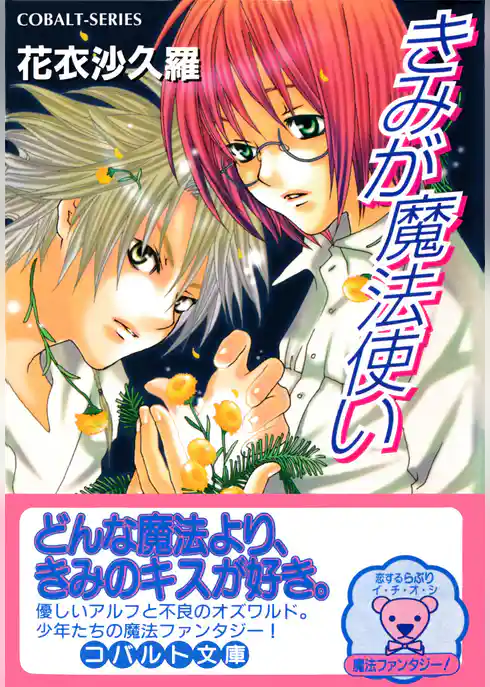 きみが魔法使い