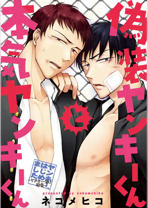 偽装ヤンキーくんと本気ヤンキーくん