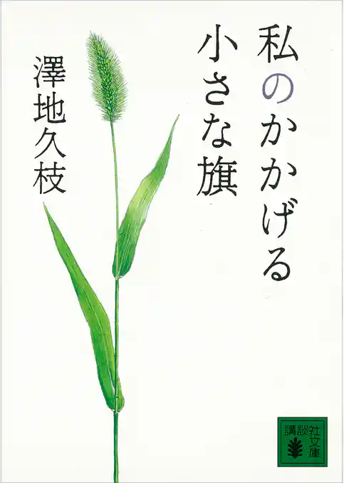 私のかかげる小さな旗