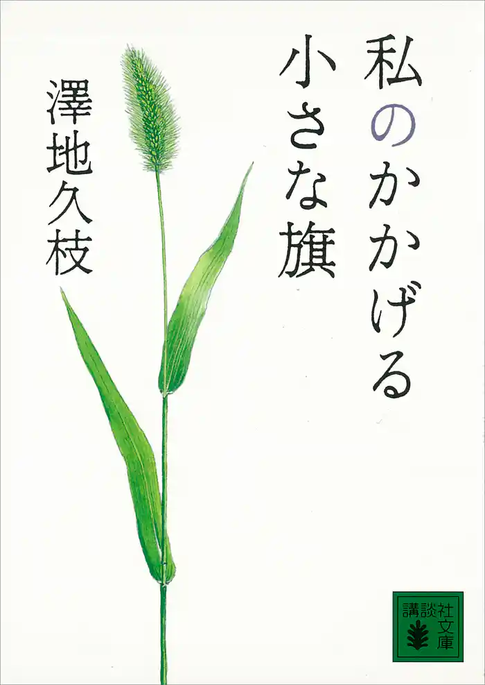 私のかかげる小さな旗