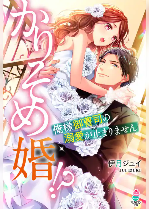 かりそめ婚！？～俺様御曹司の溺愛が止まりません