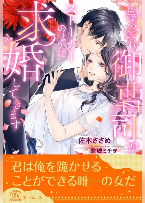 【全1-6セット】焦らされ御曹司がストーカーのように求婚してきます【イラスト付】
