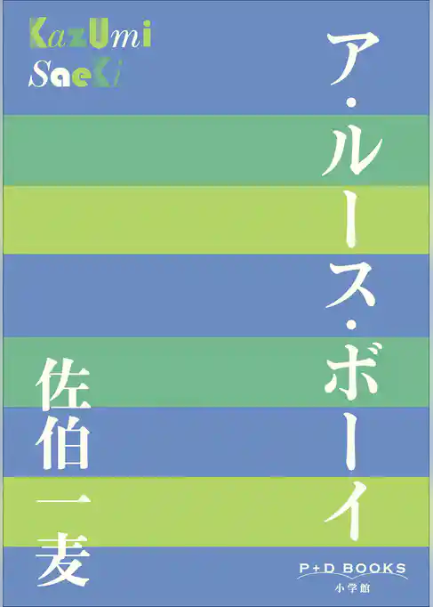 P+D BOOKS　ア・ルース・ボーイ