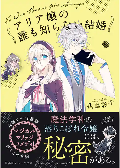 アリア嬢の誰も知らない結婚