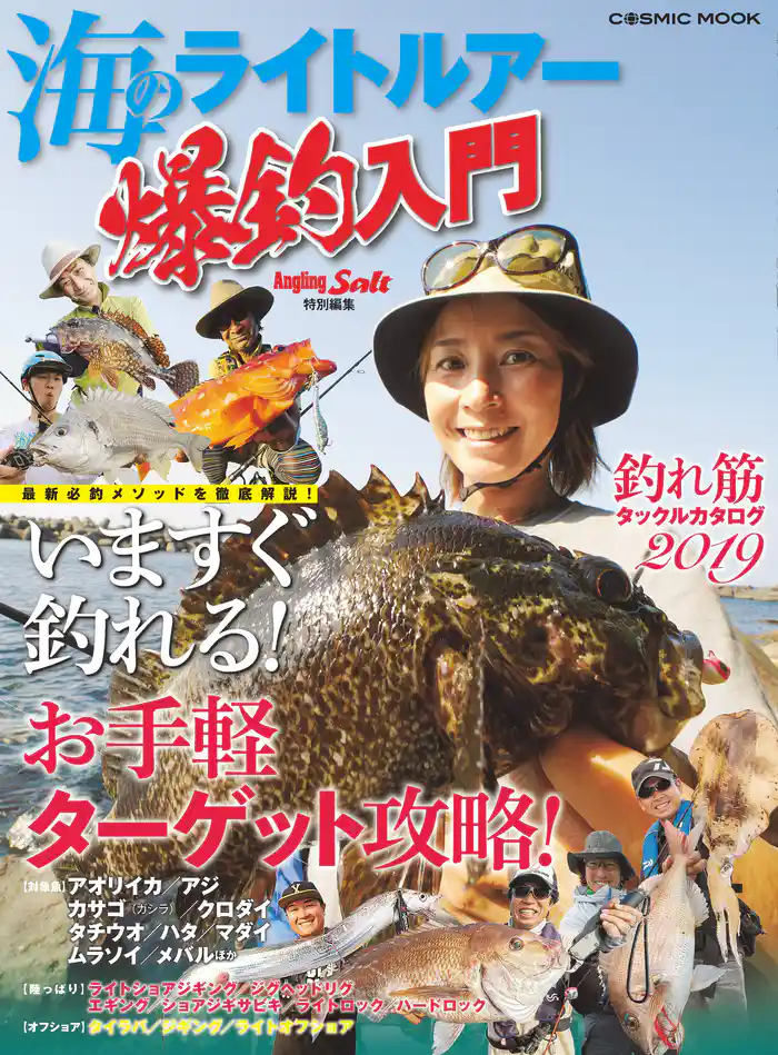 海のライトルアー爆釣入門