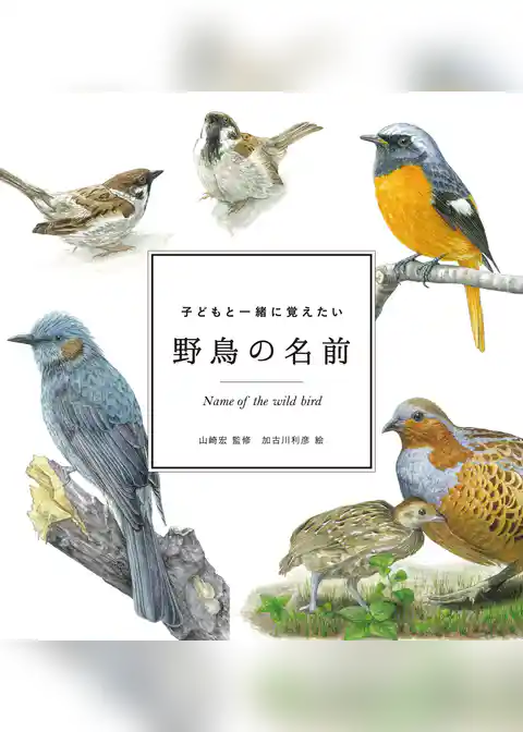 子どもと一緒に覚えたい　野鳥の名前