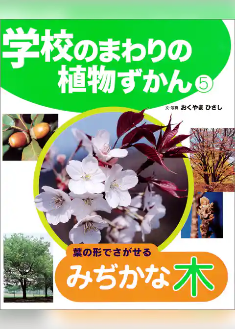 葉の形でさがせるみぢかな木５　学校のまわりの植物ずかん