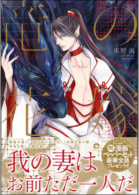 竜の花嫁【電子限定かきおろし漫画付】