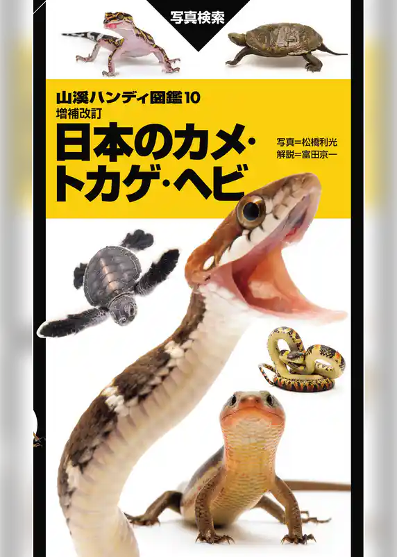 山溪ハンディ図鑑 増補改訂 日本のカメ・トカゲ・ヘビ