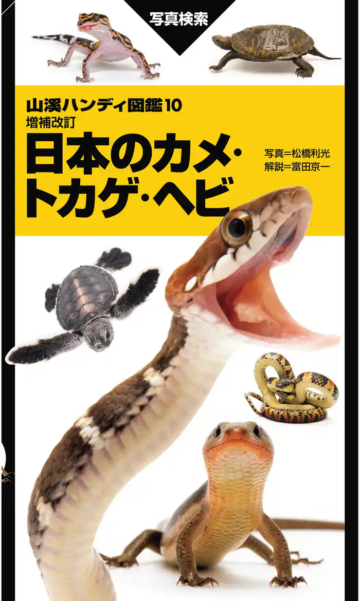 山溪ハンディ図鑑 増補改訂 日本のカメ・トカゲ・ヘビ