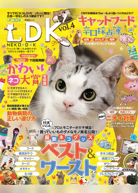 晋遊舎ムック ネコＤＫ　ｖｏｌ．４