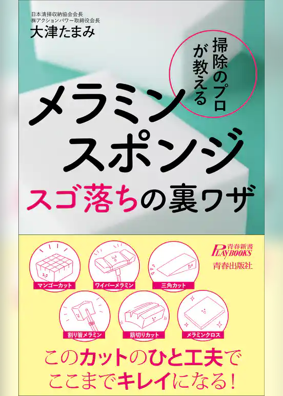 掃除のプロが教える　メラミンスポンジ スゴ落ちの裏ワザ