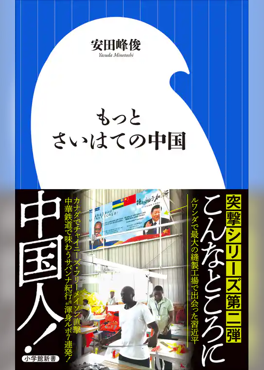 もっとさいはての中国（小学館新書）