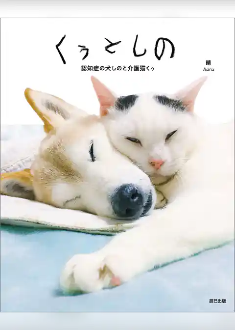くぅとしの 認知症の犬しのと介護猫くぅ