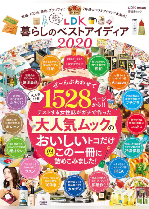 晋遊舎ムック LDK 暮らしのベストアイディア 2020