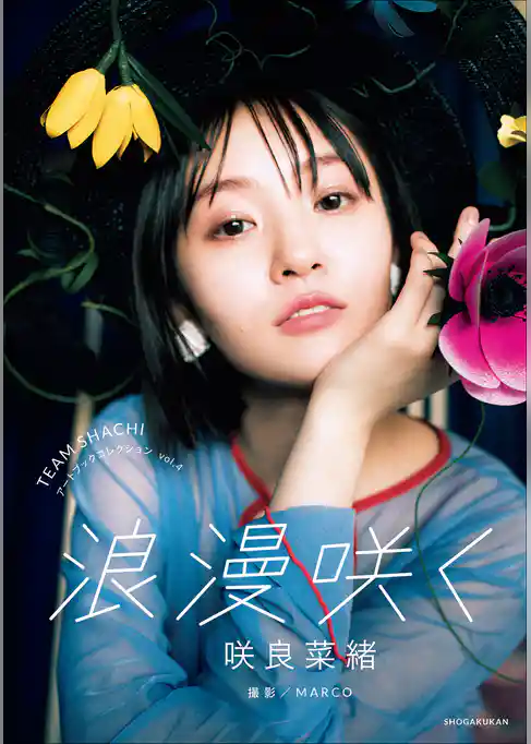 TEAM　SHACHI　アートブックコレクション