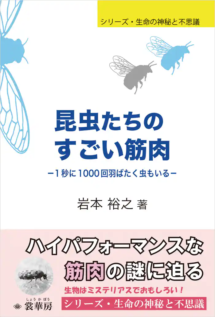 昆虫たちのすごい筋肉　１秒に1000回羽ばたく虫もいる