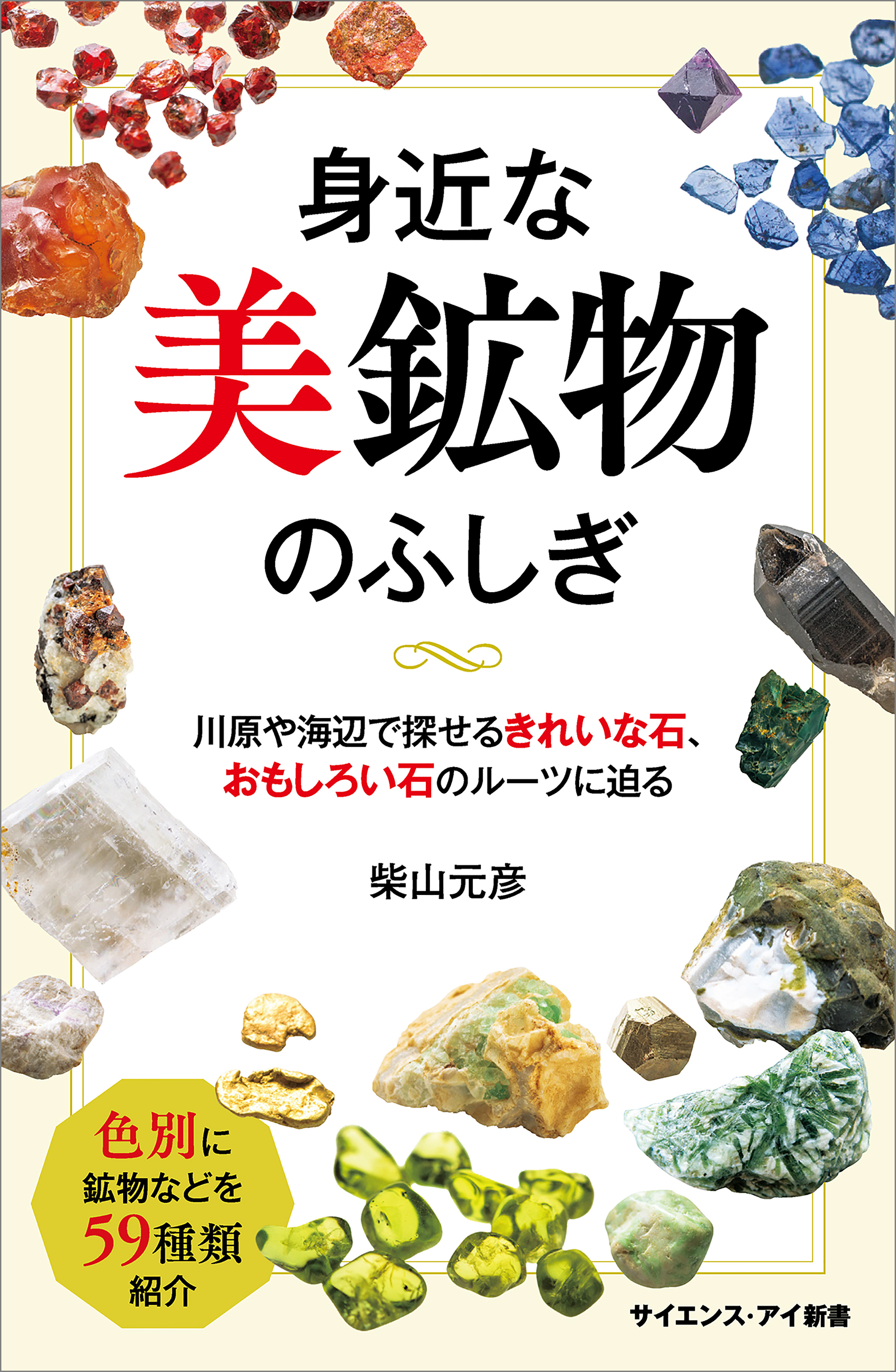 身近な美鉱物のふしぎ 川原や海辺で探せるきれいな石、おもしろい石の