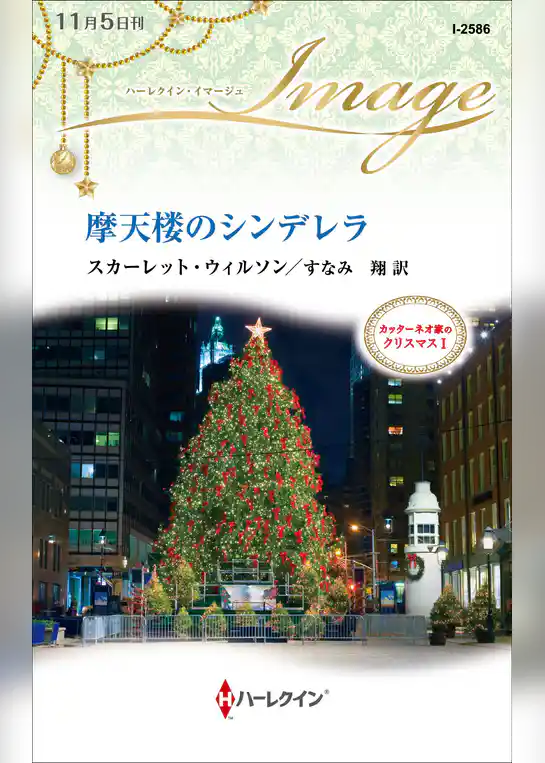 摩天楼のシンデレラ