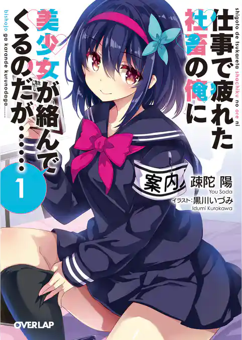 仕事で疲れた社畜の俺に美少女が絡んでくるのだが……