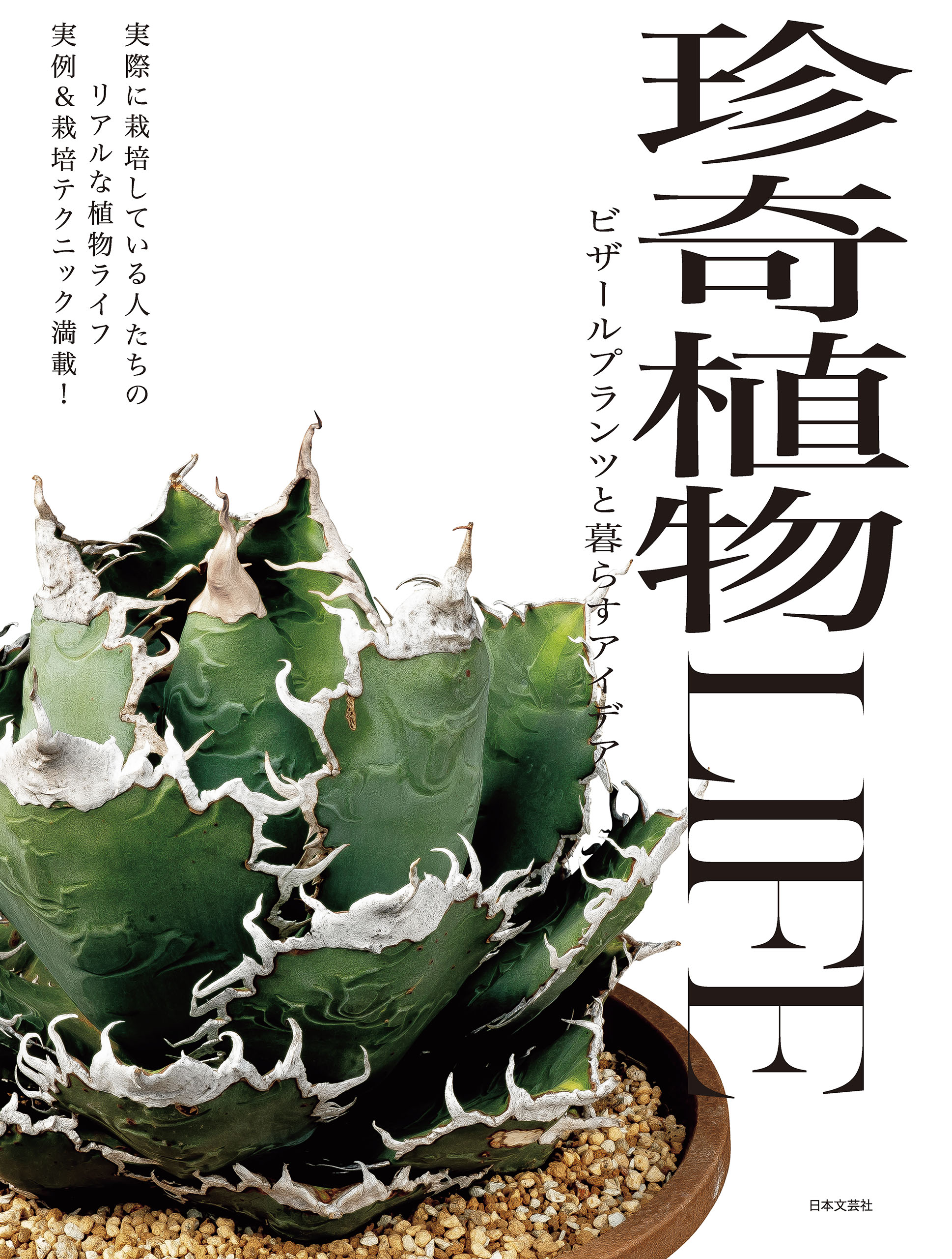 珍奇植物LIFE ビザールプランツと暮らすアイデア 1巻(書籍) - 電子書籍