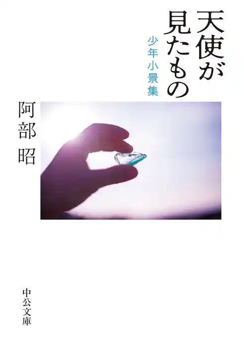 天使が見たもの　少年小景集