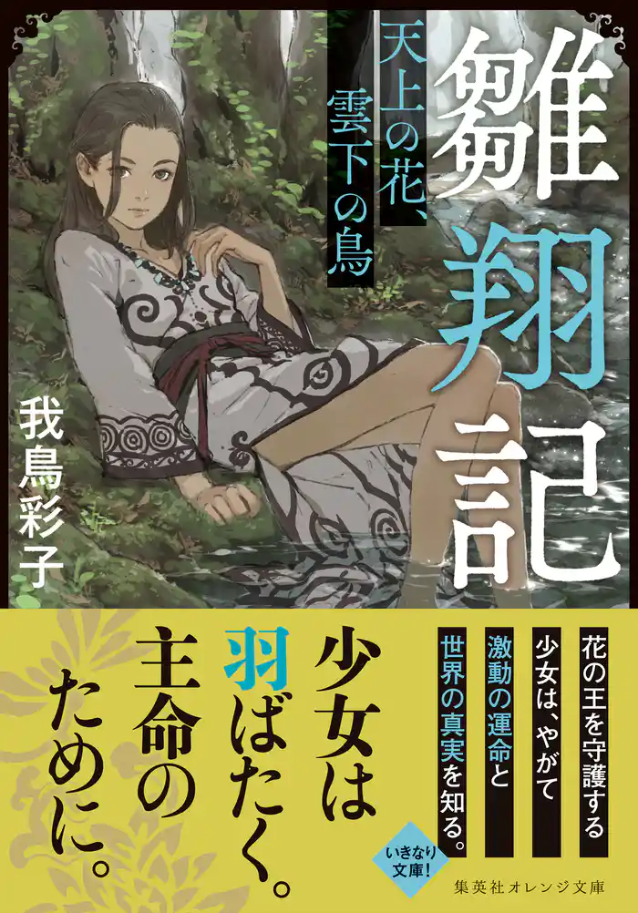 雛翔記 天上の花、雲下の鳥