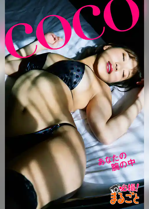 あなたの腕の中　coco