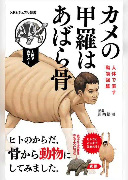 カメの甲羅はあばら骨　～人体で表す動物図鑑～