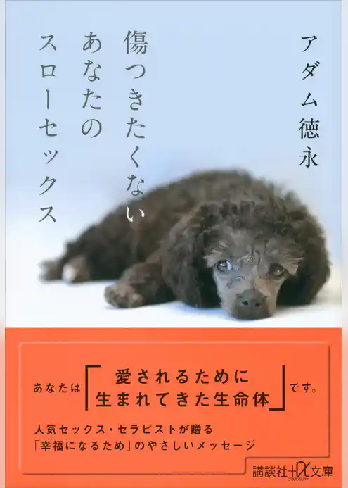 傷つきたくないあなたのスローセックス