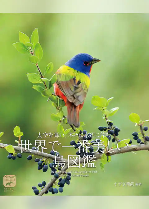 世界で一番美しい鳥図鑑：大空を舞い、 木々に水辺に佇む