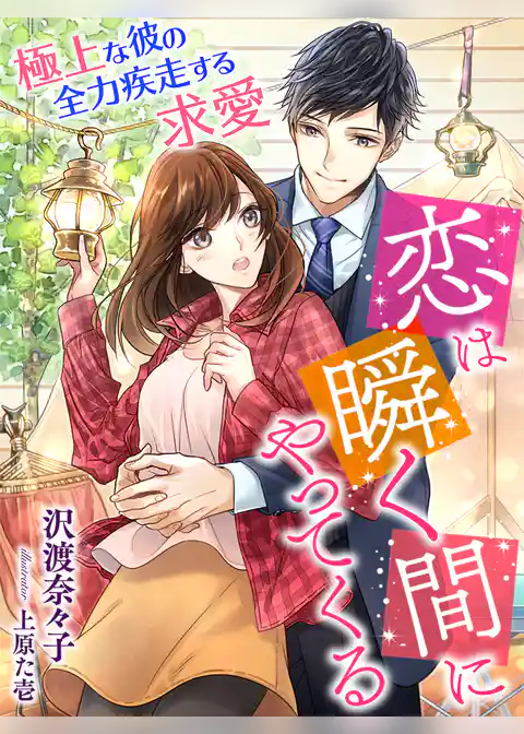 恋は瞬く間にやってくる～極上な彼の全力疾走する求愛～