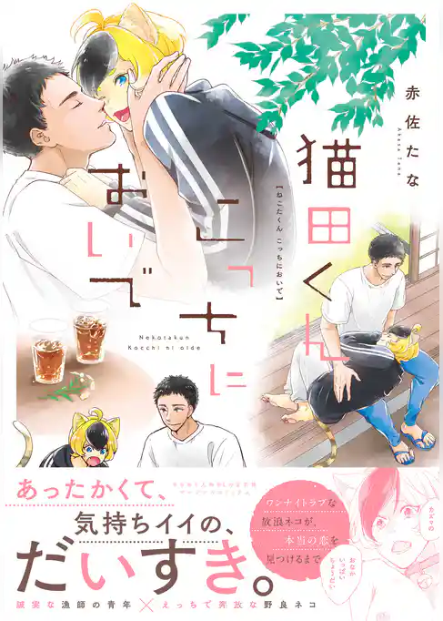 猫田くん　こっちにおいで