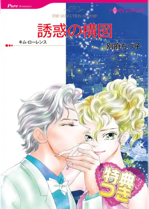 誘惑の構図【特典付き】
