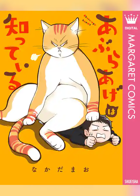 あぶらあげは知っている