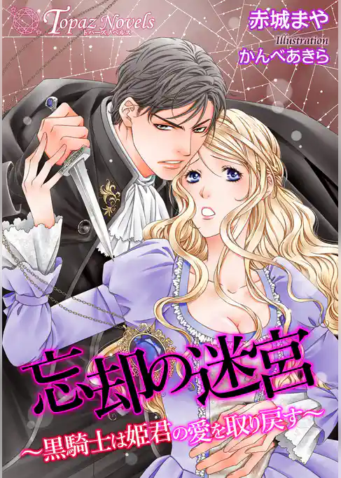 忘却の迷宮～黒騎士は姫君の愛を取り戻す～【書き下ろし・イラスト5枚入り】