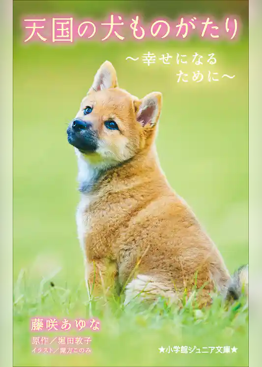 小学館ジュニア文庫　天国の犬ものがたり～幸せになるために～