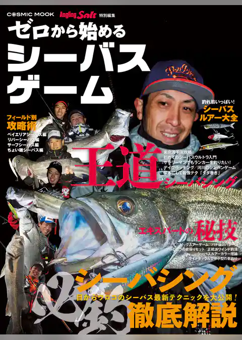 ゼロから始めるシーバスゲーム