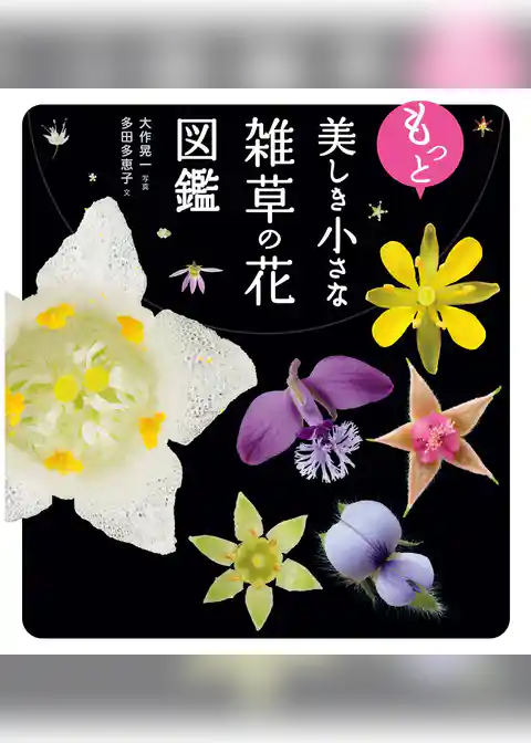 もっと美しき小さな雑草の花図鑑
