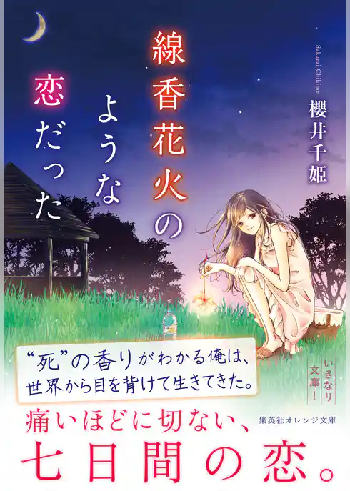 線香花火のような恋だった